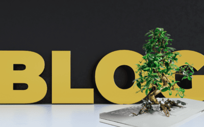 Marketing and Growth 8 The Best Time to Start Your Medspa Blog? Right Now.