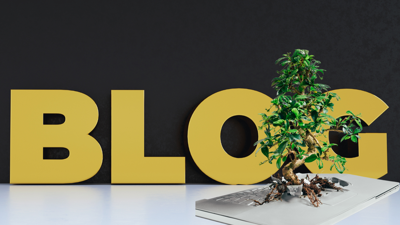 why you should start a blog