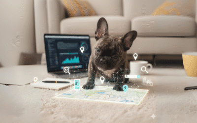 The New Rules of Local SEO: Part 1