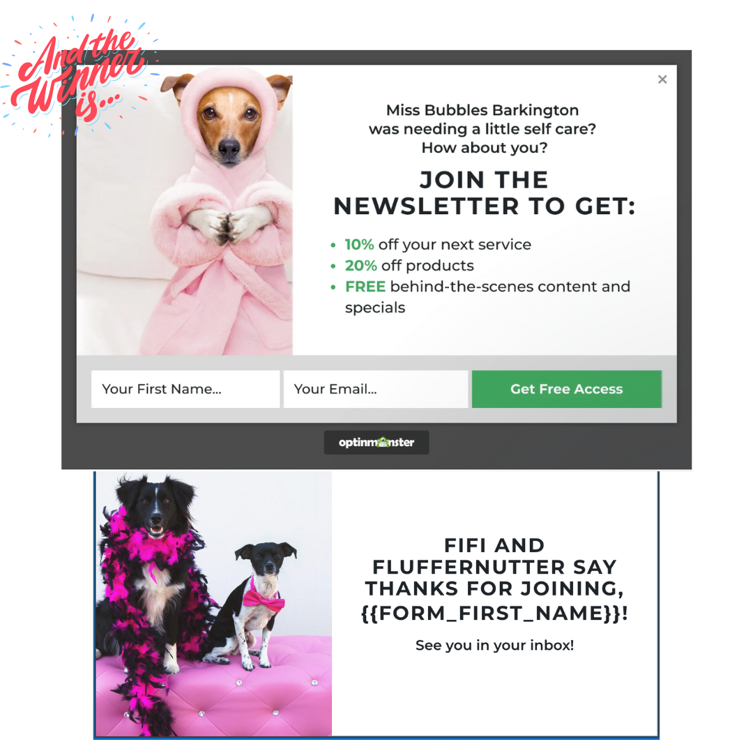 Interactive website tool example